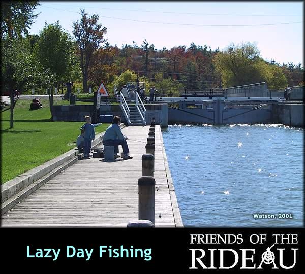 Lazy Day Fishing